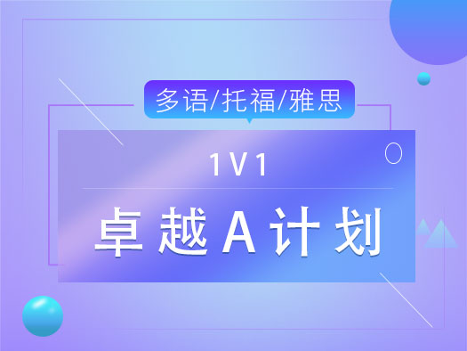 1v1专属定制