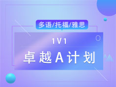 1v1专属定制