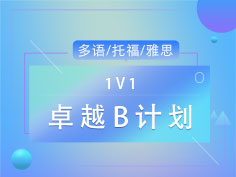 1V1专属定制