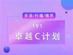 1V1专属定制