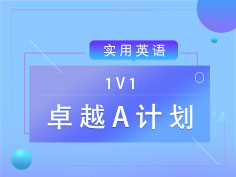 1V1专属定制