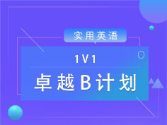 1V1专属定制