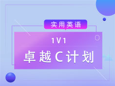 1V1专属定制