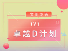 1V1专属定制