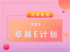 1V1专属定制